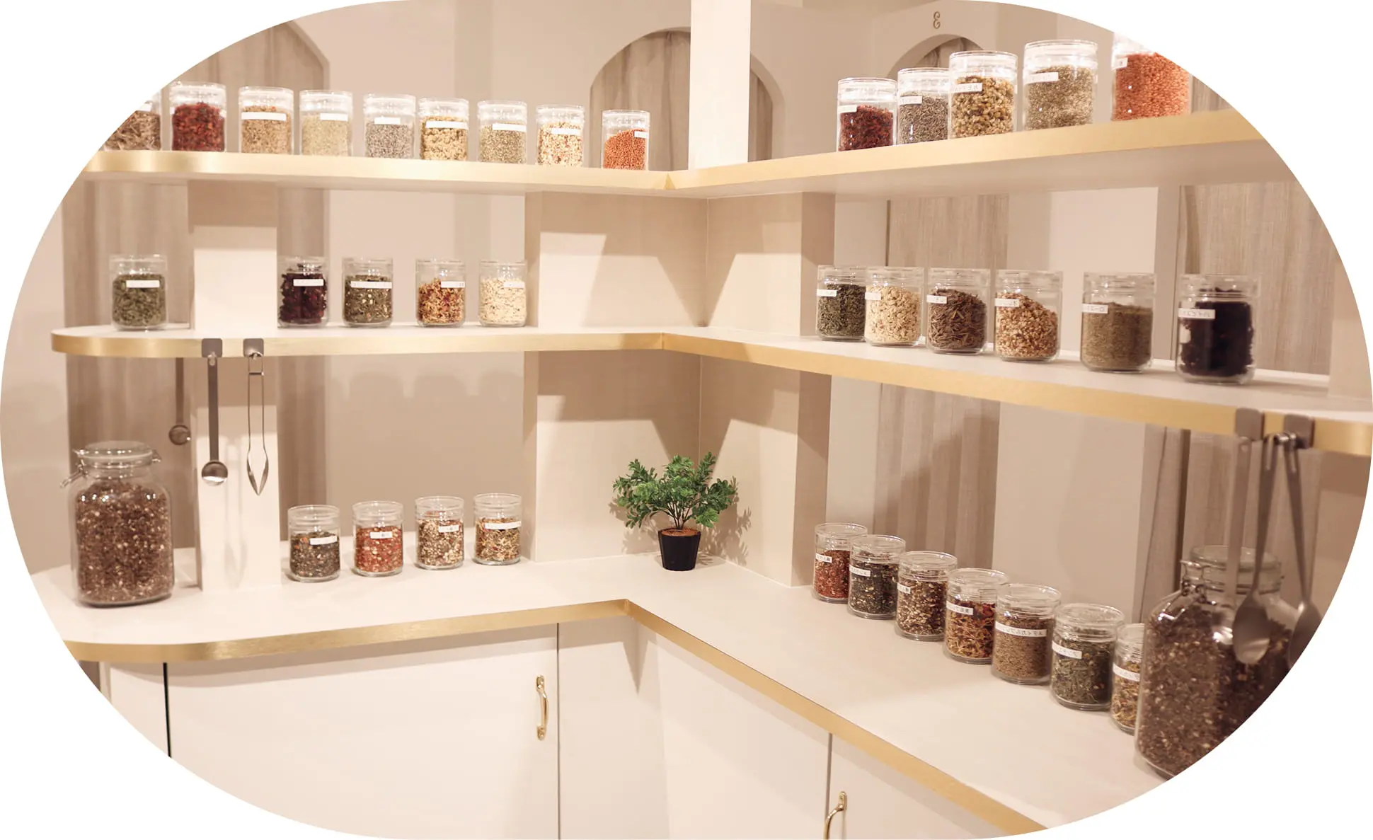 ハーブの瓶が並んでいる画像